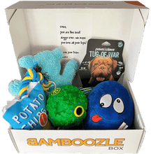 Load image into Gallery viewer, Bamboozle Box Totally Toys
