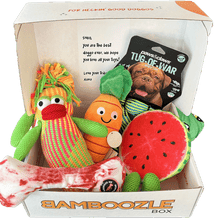 Load image into Gallery viewer, Bamboozle Box Totally Toys
